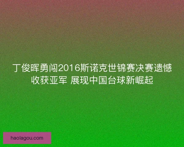 丁俊晖勇闯2016斯诺克世锦赛决赛遗憾收获亚军 展现中国台球新崛起