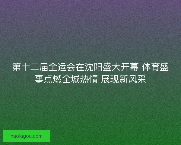 第十二届全运会在沈阳盛大开幕 体育盛事点燃全城热情 展现新风采